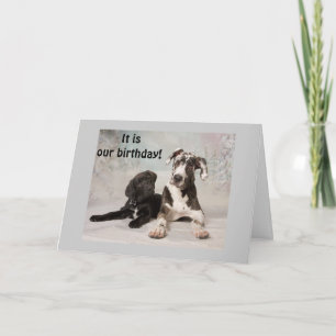 HET IS "ONZE" VERJAARDAG - GEWELDIGE DAG! KAART