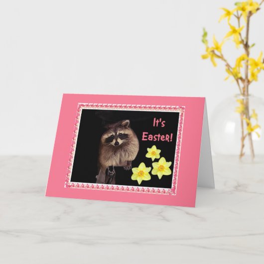 Het is Pasen! Wasberen kaart voor iedereen. (Gele Bloem)