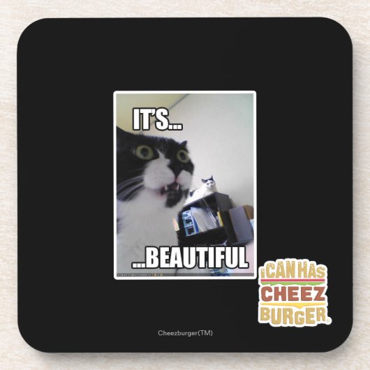 Het is prachtig bier onderzetter (Voorkant)