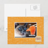 Het is prachtig! briefkaart (Voorkant / Achterkant)