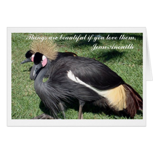 Het is prachtig. . . kaarten (Voorkant Horizontaal)