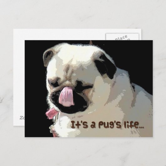Het is Pug het leven… Briefkaart (Voorkant / Achterkant)