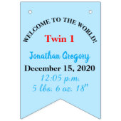Het is Twins Boy's Bunting Banner (Derde vlag)