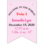 Het is Twins Girl Boy Bunting Banner (Derde vlag)