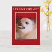 Het is Uw Verjaardag! Het grijnzen de Kaart van de (Gele Bloem)