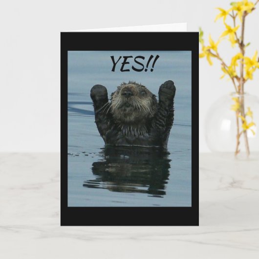 HET IS VALENTIJNSDAG * WEET JE WAT DAT BETEKENT? * KAART (Gele Bloem)