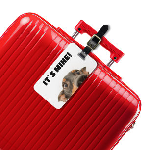 Het is van mij! Hond piekend foto Bagagelabel