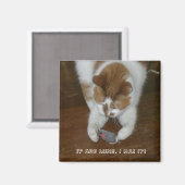 HET IS VAN MIJ. IK HEB HET! MAGNEET (Voorkant / Achterkant)