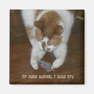 HET IS VAN MIJ. IK HEB HET! MAGNEET