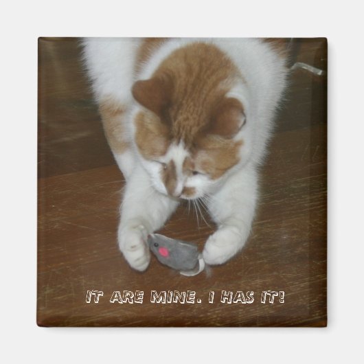 HET IS VAN MIJ. IK HEB HET! MAGNEET (Voorkant)