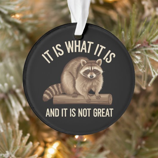 Het Is Wat Het Is en Het Is Geen Groot Wasbeer Ker Ornament (Boom)