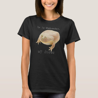 Het is woensdag My Dudes Classic Funny Frog Meme 1 T-shirt
