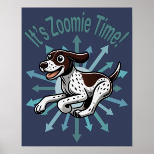 Het is Zoomie Tijd Duitse Staande Hond Poster
