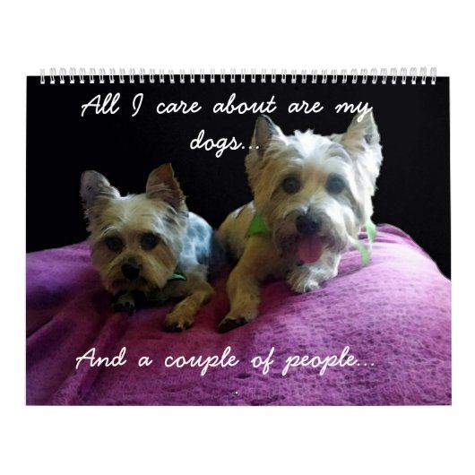 Het jaar met los en schoorsteen kalender (Hoes)