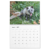 Het Jaar van de VOX-kalender Kalender (Mar 2027)