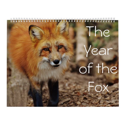 Het Jaar van de VOX-kalender Kalender (Hoes)