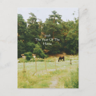 Het Jaar Van Het Paard, 2026, Briefkaart
