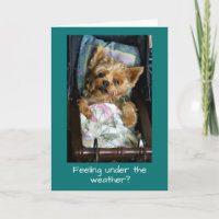 Het Jong van Yorkie in het Vervoer van het Baby