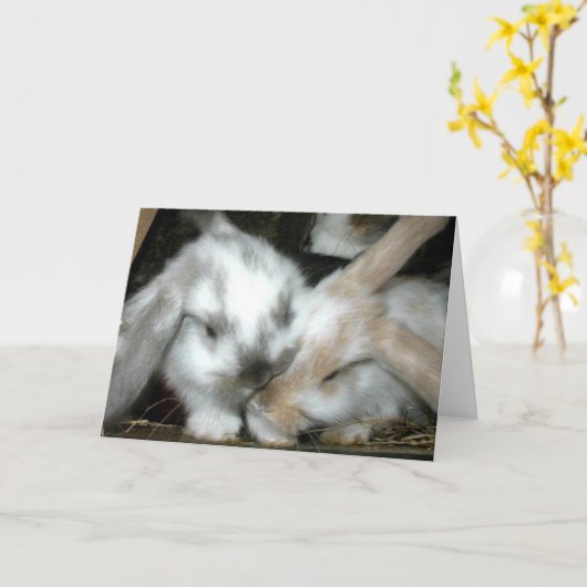 Het Jubileum van de Liefde van het konijntje Kaart (Gele Bloem)