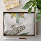 Het kabinet van Oriental Entomology Pl XLI Tissuepapier (Geschenk)