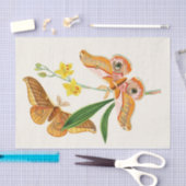 Het kabinet van Oriental Entomology Pl XX1 Tissuepapier (Craft)