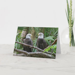 Het kale Wenskaart van Eagle Kaart