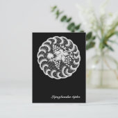 Het kant van Lepoglava Briefkaart (Staand voorkant)