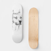 Het karton van de Pitbull Skateboard (Voorkant)