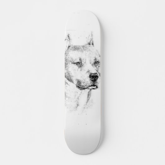 Het karton van de Pitbull Skateboard (Voorkant)