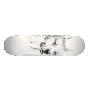 Het karton van de Pitbull Skateboard