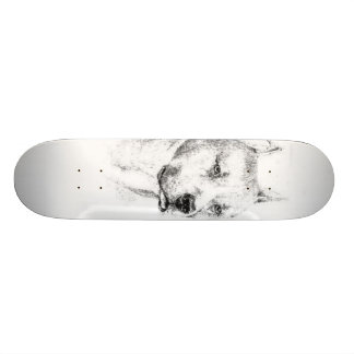 Het karton van de Pitbull Skateboard