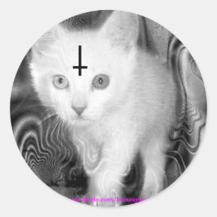 het kat aanbidden ronde sticker