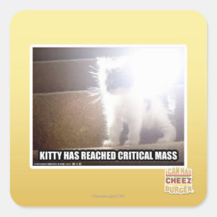 Het Kat van de kritieke Massa Vierkante Sticker