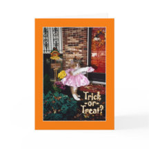 Het Kat van het trick or treat - Gelukkig