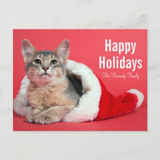 Het kat van Kerstmis Feestdagenkaart (Voorkant)