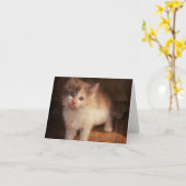 Het Katje Notecard van het calico Kaart (Gele Bloem)