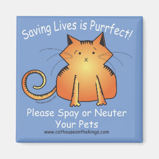 Het Kattenhuis op de Koningen Spay en Neuter Magneet