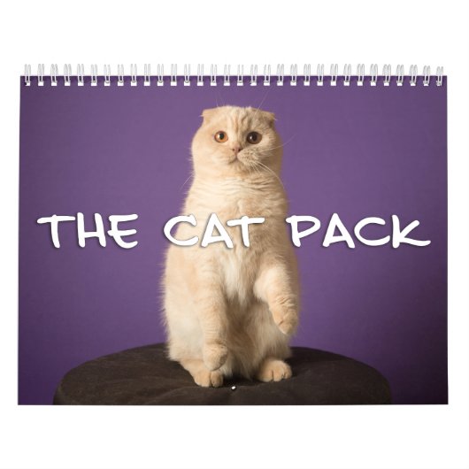 Het kattenpakket kalender (Hoes)