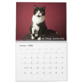 Het kattenpakket kalender (Jan 2026)