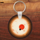 Het Kepler-16 systeem. Sleutelhanger (Achterkant)