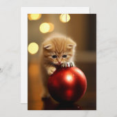 Het Kerstkatje Feestdagenkaart (Voorkant / Achterkant)