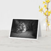 Het Kielzog van de ochtend Kaart (Gele Bloem)