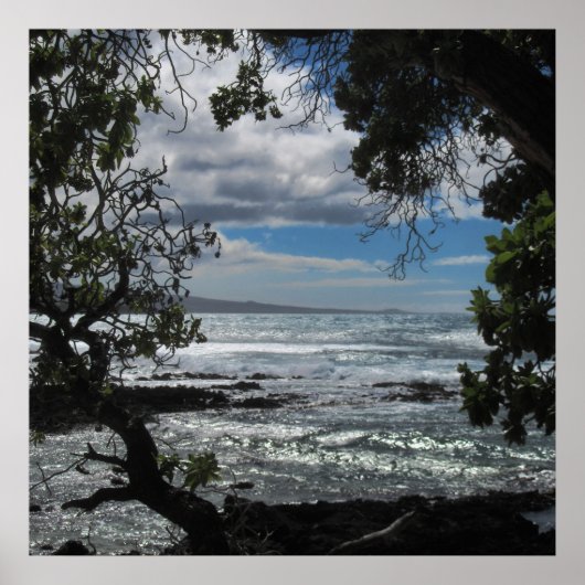 Het kijken door het venster poster (Voorkant)