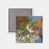 Het kijken omhoog kijkend op de Natuur van de Verl Magneet (Voorkant / Achterkant)