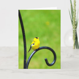 Het kijken op Wenskaart Kaart