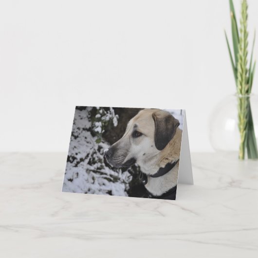Het Kilo Notecard van de Hond van de Redding van Kaart (Voorkant)