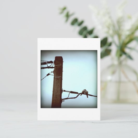 HET KISS-Briefkaart Briefkaart (Staand voorkant)