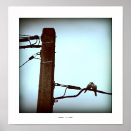 HET KISS-Poster Poster