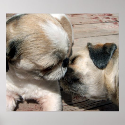 Het Kiss-Poster Poster (Voorkant)