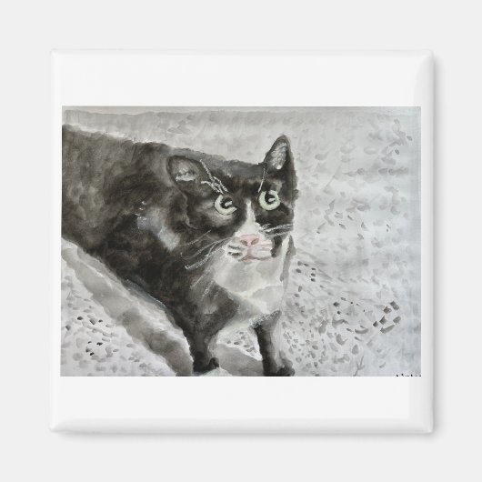 Het kitten op de magneet (Voorkant)